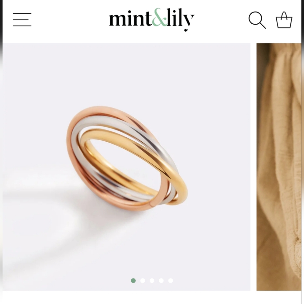 Dainty Interlocking Fidget Ring Sz 10